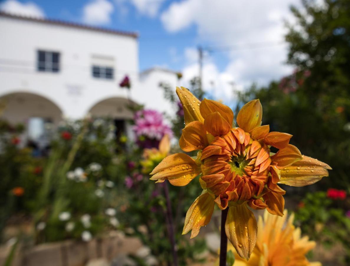 Residencia Quinta Do Poco Guesthouse Sagres Esterno foto